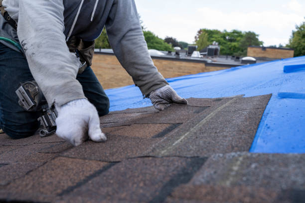 Best New Roof Installation  in Mount Carmel, IL